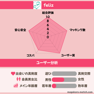 felizのユーザー分析表画像