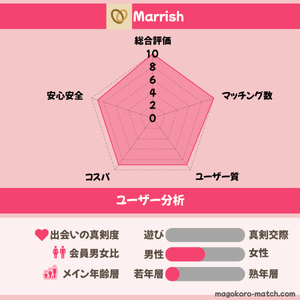 marrishのユーザー分析表画像