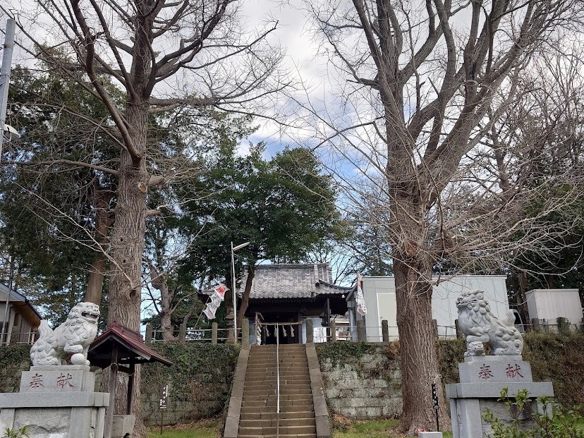 松尾神社の石段と狛犬。参道の先に社殿が見える