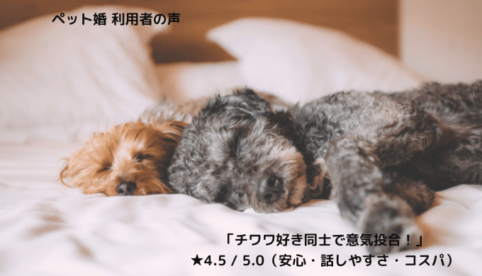ペット婚の利用者が「チワワ好き同士で意気投合」と話す様子を伝えるイメージ画像