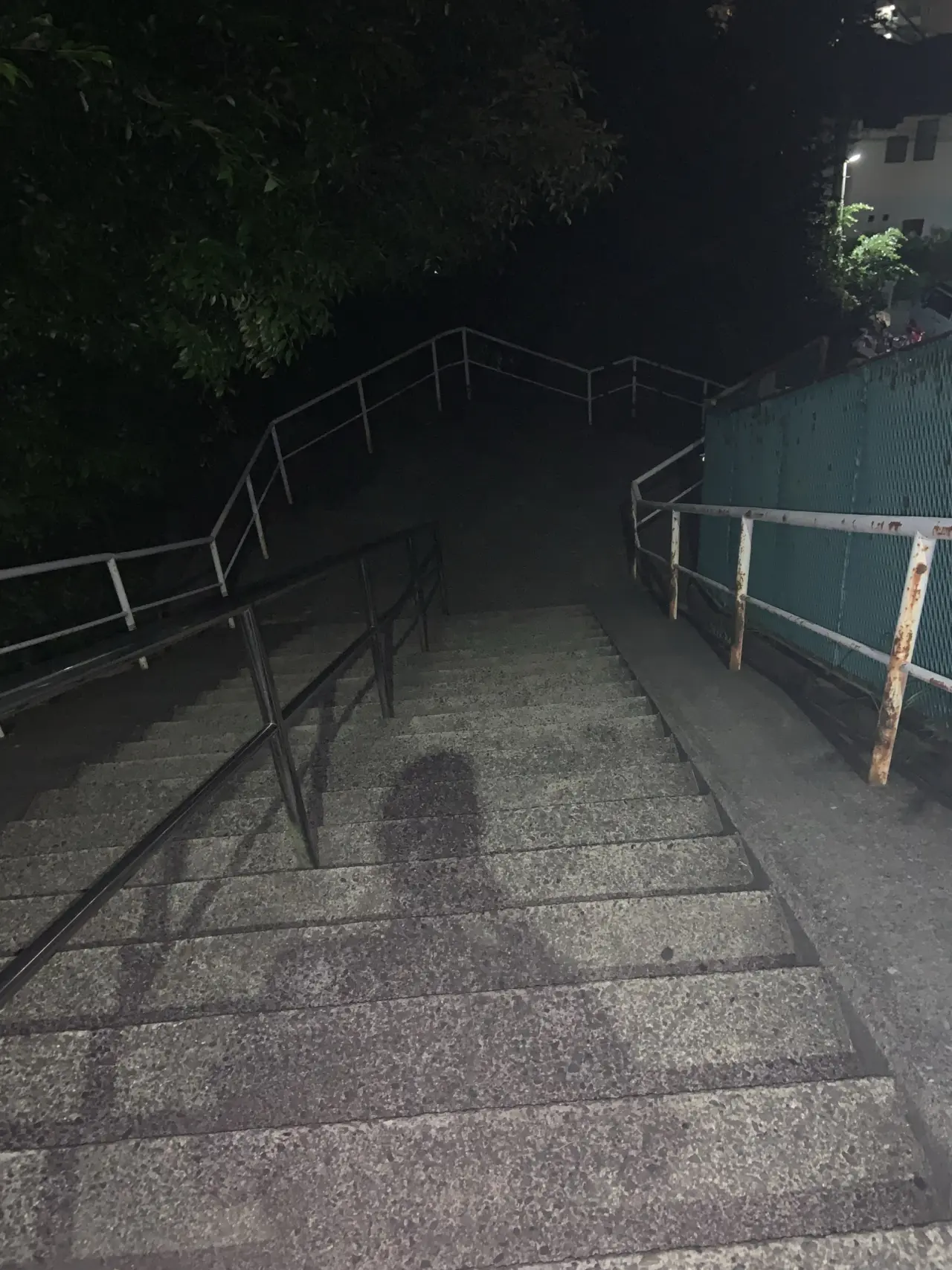 第六社へと続く夜の石段。手すりのある長い階段が木々に囲まれて伸びている