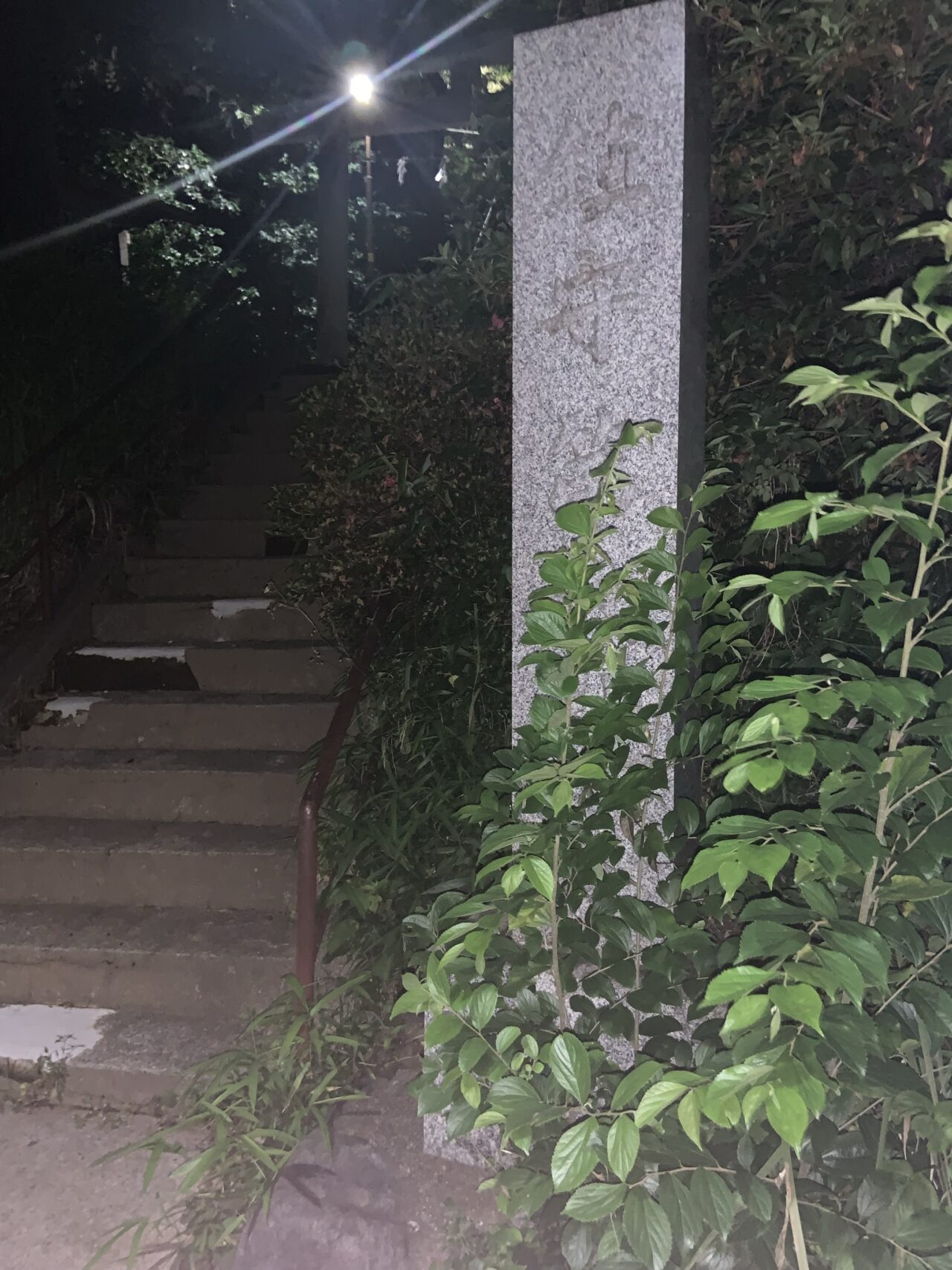 篠塚八幡社の拝殿。夜の静けさの中、鈴緒と注連縄が掲げられた神聖な祈りの場