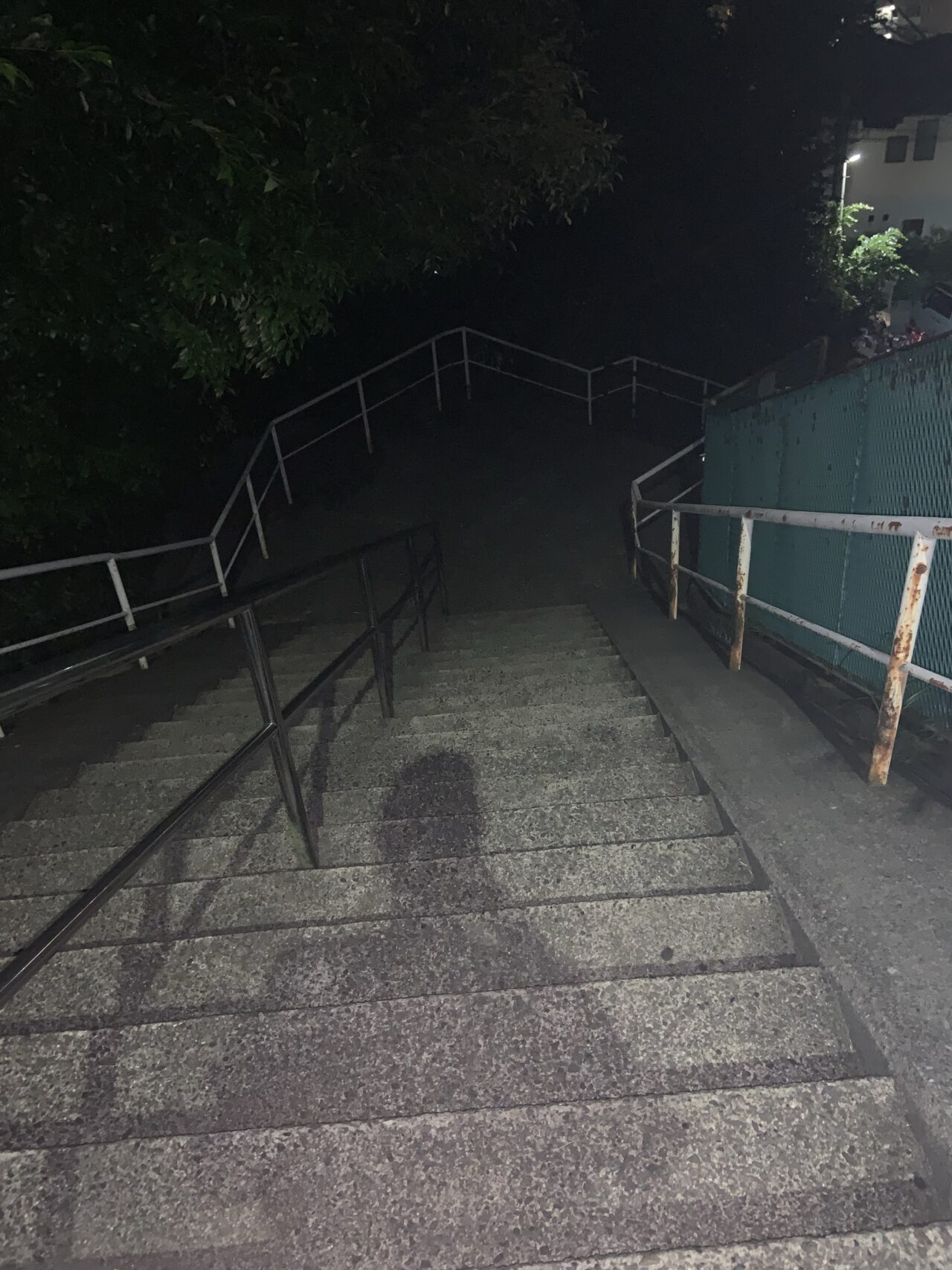 篠塚八幡社へと続く夜の石段。手すりのある長い階段が木々に囲まれて伸びている
